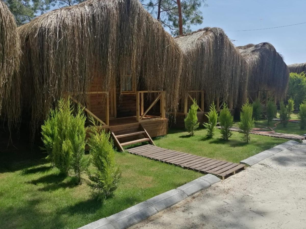 Green Pine Bungalows & Beach Luxury Concept Ölüdeniz Exterior foto